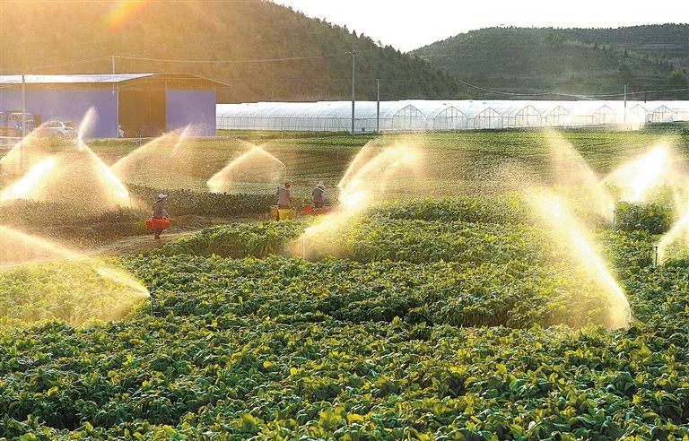 好消息江西省,好消息赣州经开区三江乡