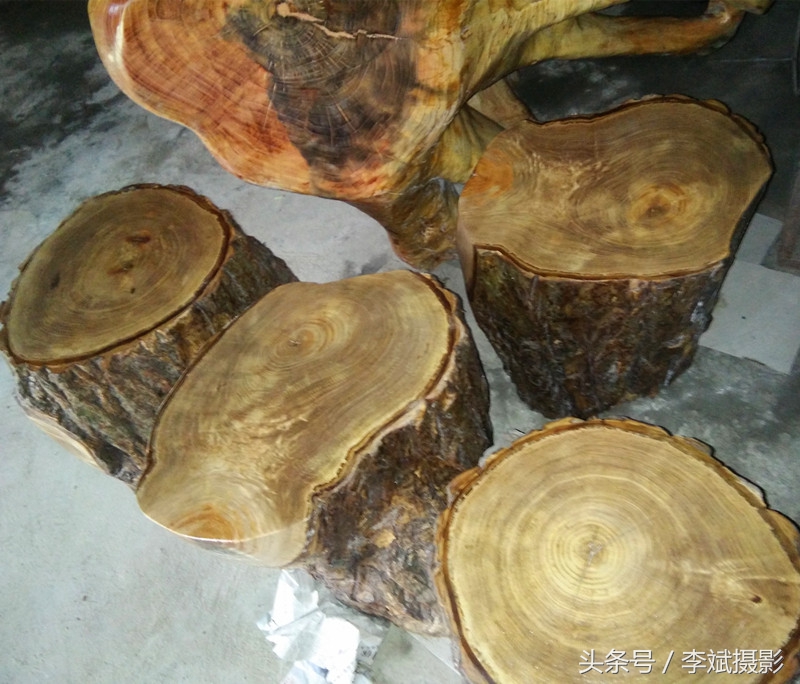 百年红香椿根雕,根雕香椿茶台图片