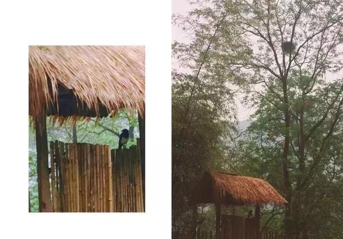 23岁踏入终南山，一处小院，一袭布衣，她的日子比小龙女还逍遥