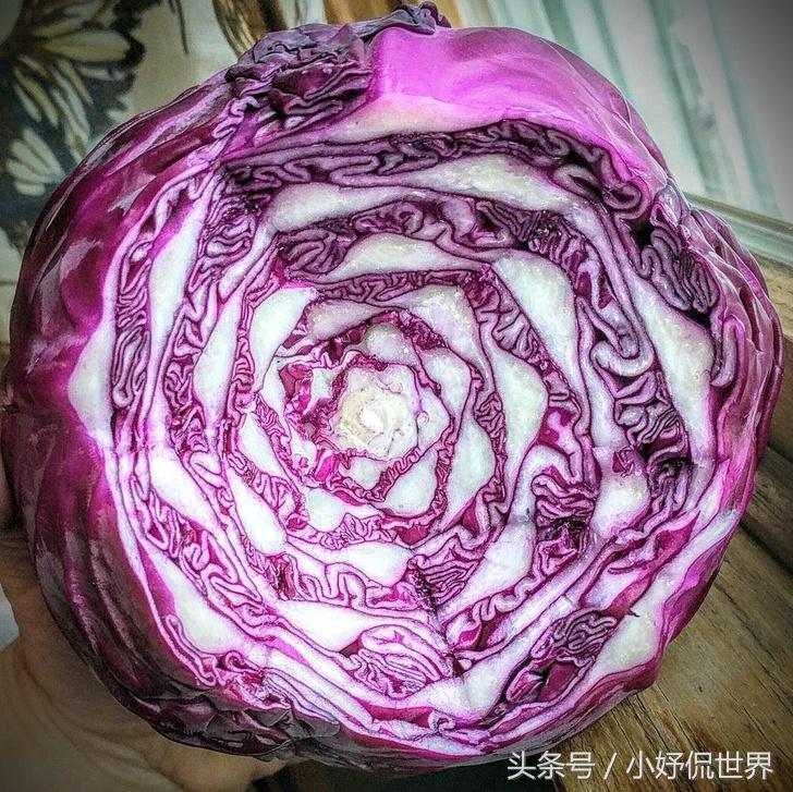 强迫症看了很舒服的100张图,密集强迫症照片