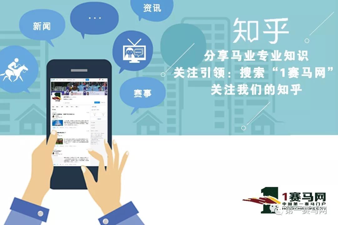 彼德讲马：代购彩票全靠信任勇进神驹状态大勇