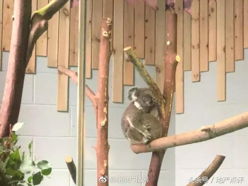 小店保利珑樾120平最新消息,保利印江南1期二手房价格