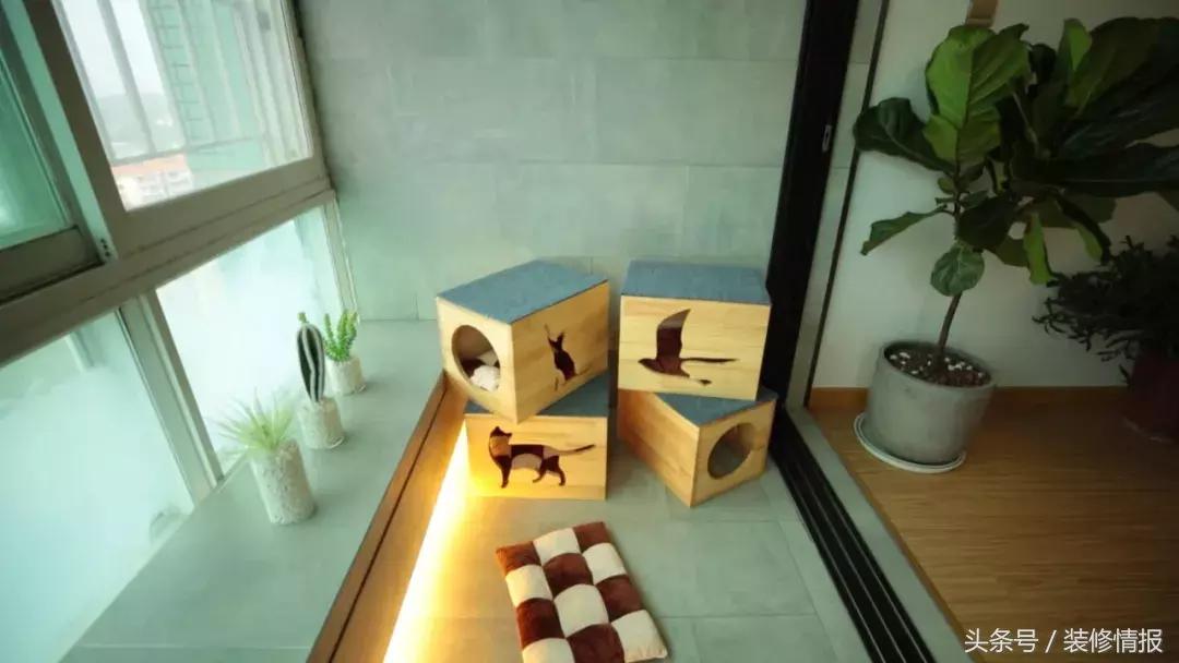 帅气舞蹈家的小阳台变身北欧风“秘密花园”诗和远方！