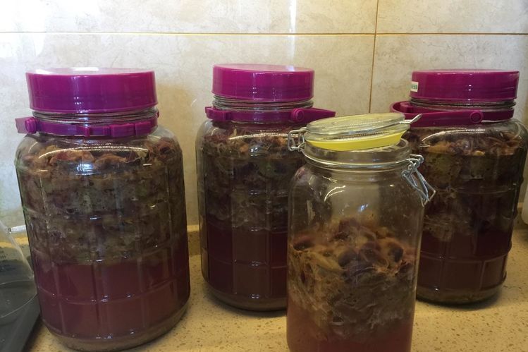 自酿葡萄酒怎么判断葡萄酒坏掉了,葡萄酒怎么酿家庭版