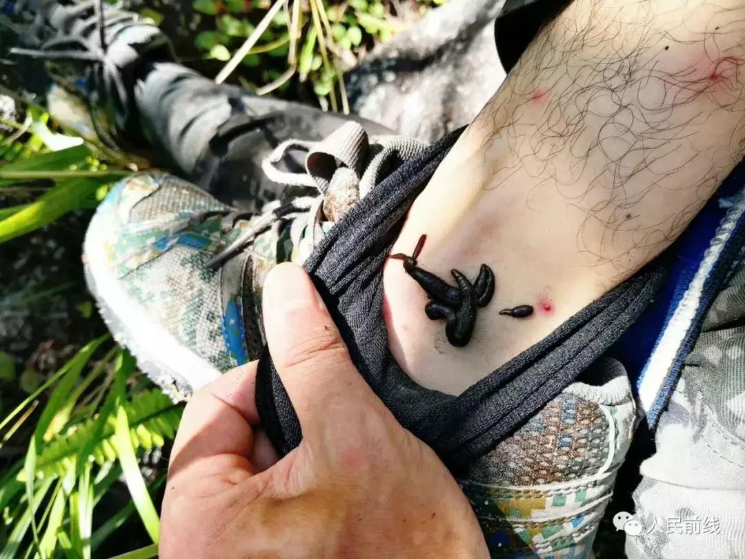 西藏墨脱边防兵的真实生活,墨脱解放军的真实记录