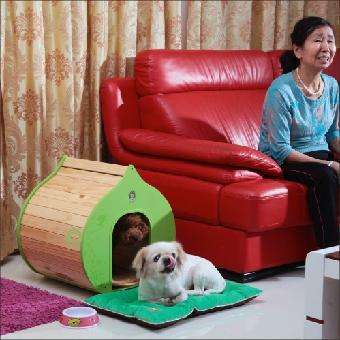 狗狗第一针疫苗是预防什么病的,狗狗几岁开始掉牙该怎么预防