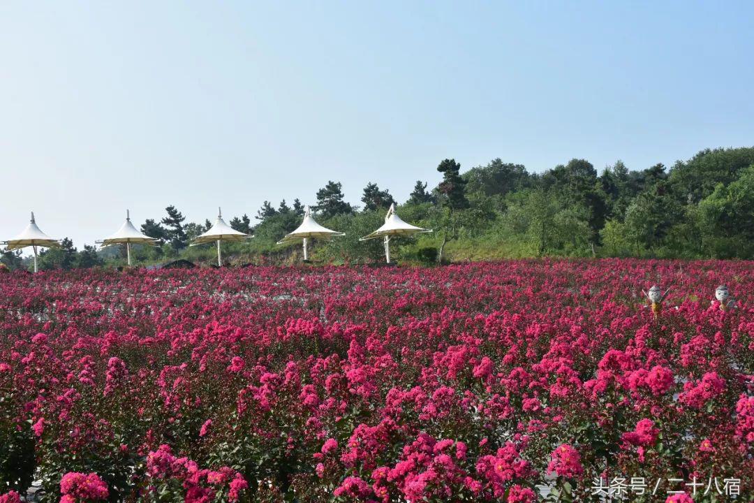 陈柏霖一个人的旅行,陈柏霖花少完整版视频