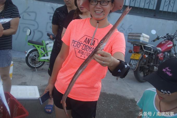 国庆去南澳岛旅游攻略,南澳岛赶海出海游玩攻略