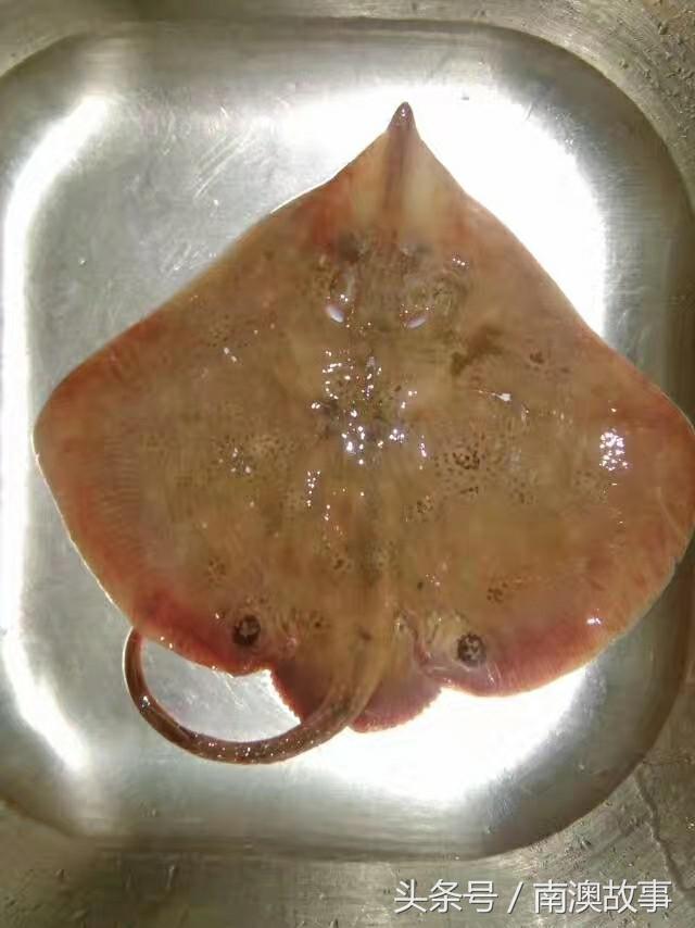 国庆去南澳岛旅游攻略,南澳岛赶海出海游玩攻略