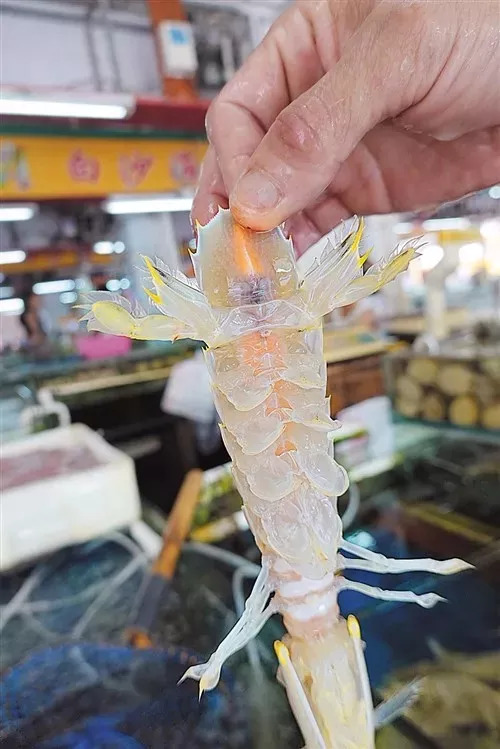 南宁淡村海鲜市场螃蟹价格,南宁深海海鲜价格