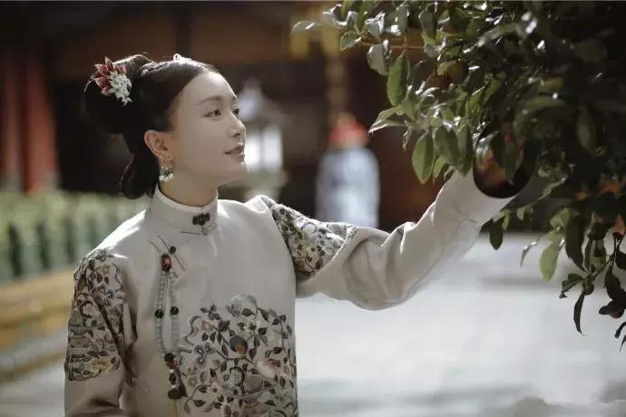 延禧攻略登全球热搜电视剧榜首,延禧攻略收视率播放量