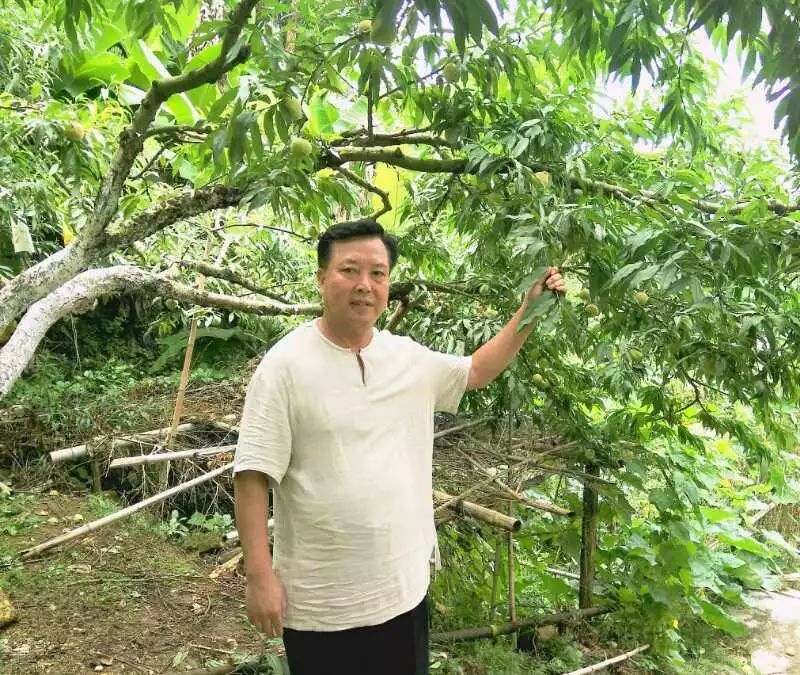 韶关曲江乳源诗友结袂自然游集诗三十首