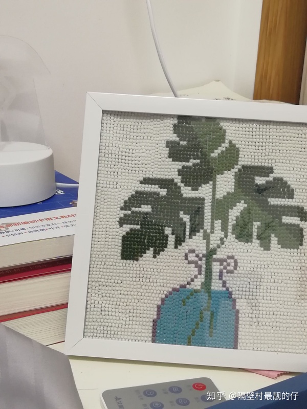 拼多多为什么比小米商城还便宜,拼多多商城的药保健品能买吗