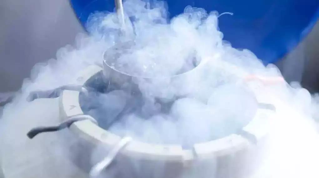 1万4千镑、14颗卵子成泡影？冻卵没那么简单……