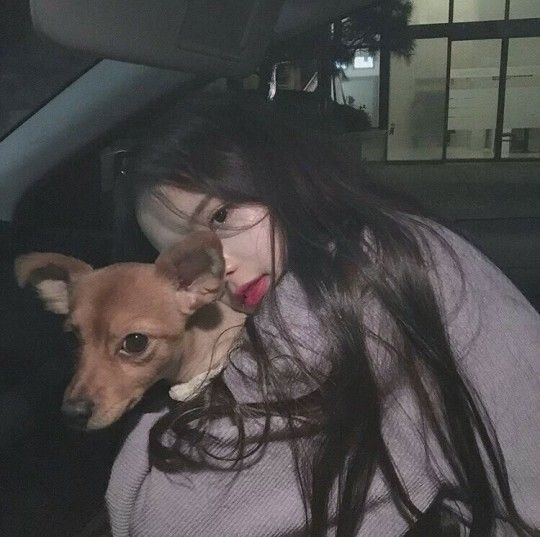 英文暖心撩人情话,夜晚英文情话最暖心短句