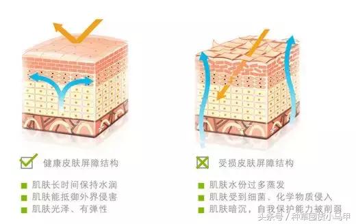 护肤姐妹花,护肤姐妹花推荐