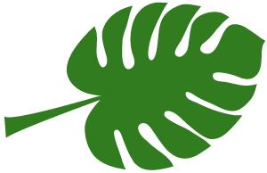 漂亮的人都睡了,用天价护肤品的你却毁容了!