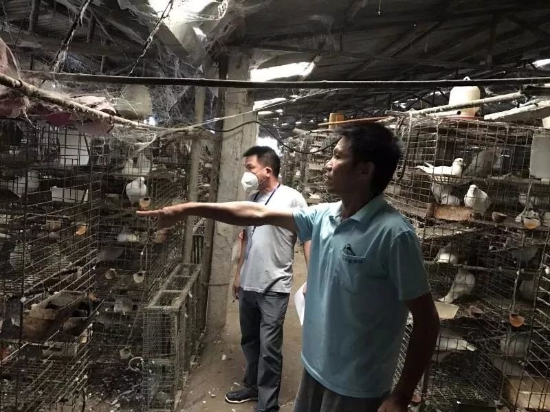 惠州市非法养殖,2019年惠州养殖场关停