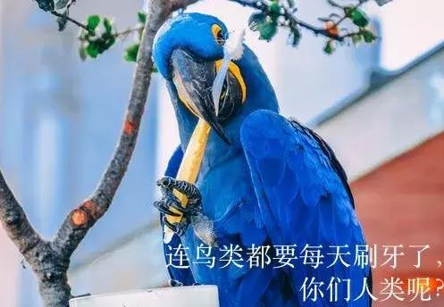 月子期间刷牙对牙齿有影响吗,月子怎么刷牙不伤害牙齿