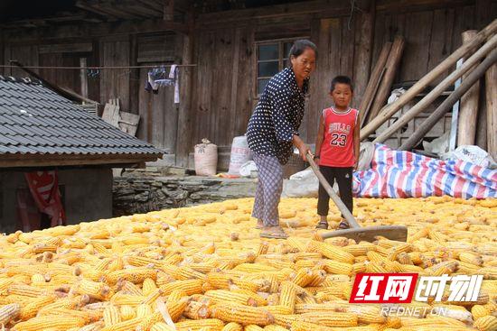 孩子我是你亲妈啊,孩子我正是你爹