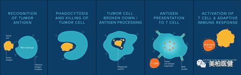 非特殊类型T细胞淋巴瘤,非霍奇金型t细胞淋巴瘤