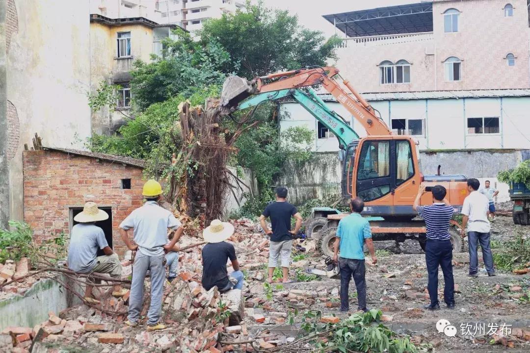 钦州主城区小学,钦州市新增中小学