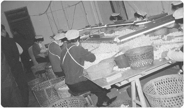 横店创始人徐文荣简介,横店集团七个创始人徐文荣照片