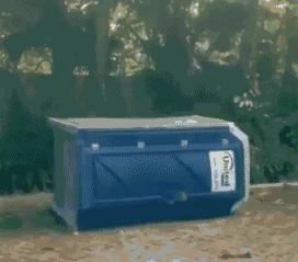 papi酱的大荧幕首秀到底有多失败,集美貌与才华于一身的papi酱