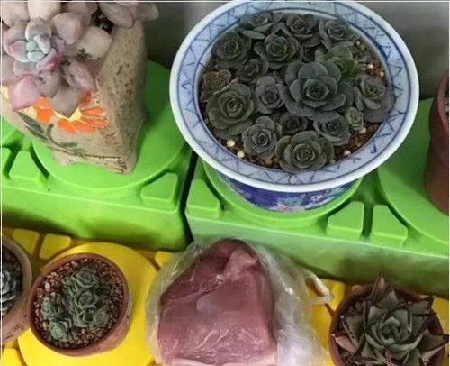 幼儿园宝宝变废为宝,幼儿入园手工变废为宝