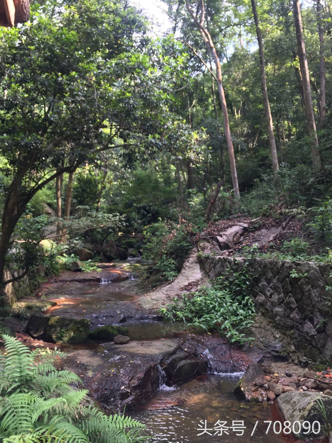 鼓山般若苑旅游攻略,鼓山般若苑网红景点