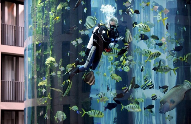 世界上最大的鱼缸位置,世界上最大鱼缸造价