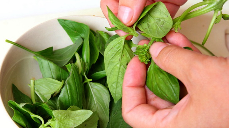 蛏子扇贝各种贝类如何区分,海鲜蛏的品种大全