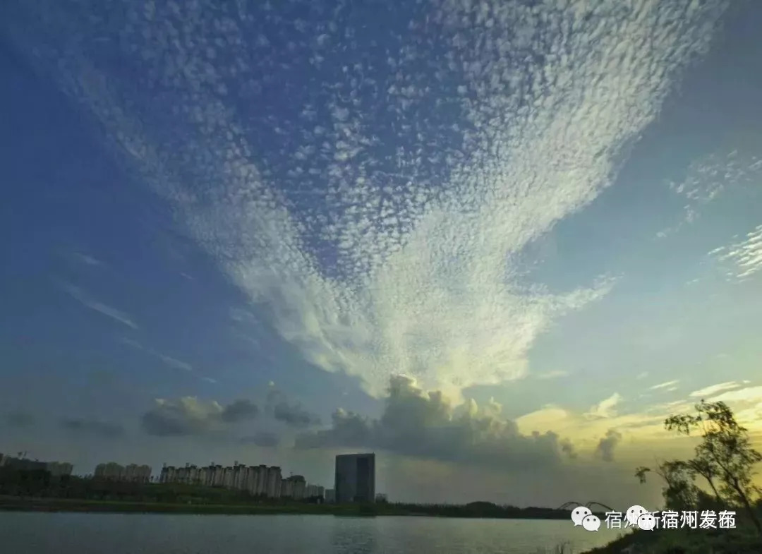 新汴河风景带,新汴河景色真美