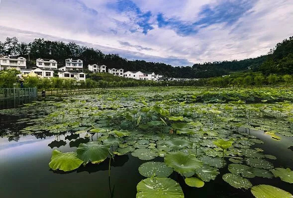 这一届世界足球比赛在哪里举办,最近的一场国际拉力赛