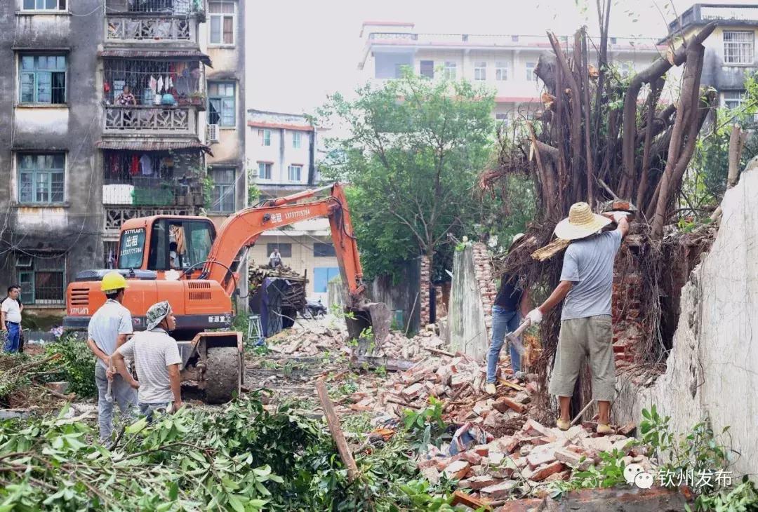 钦州市公立小学规划,钦州三小最新规划