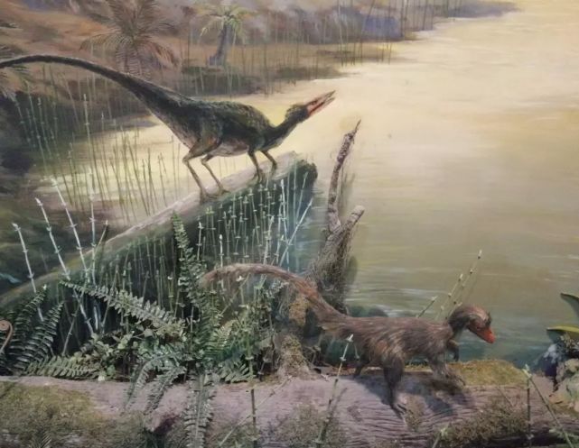 「免费科普招募」《侏罗纪》《疯狂原始人》告诉你的都是假的？专业老师带你体验别样的科普之旅！