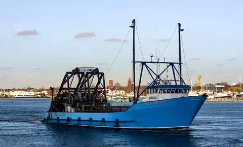 蛏子贝壳类海鲜,贝类海鲜有哪些毛蚶