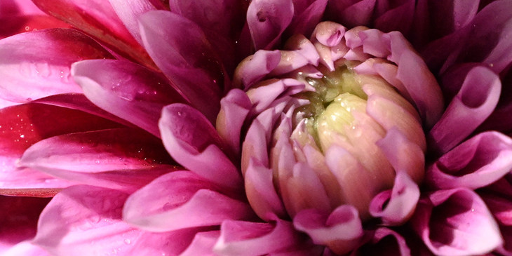 尼康Z7II全画幅微单评测视频,尼康z7微单深度评测