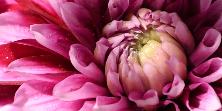 尼康Z7II全画幅微单评测视频,尼康z7微单深度评测