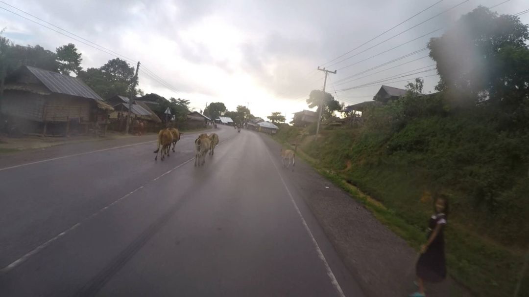 vespagts300新款,vespagts300