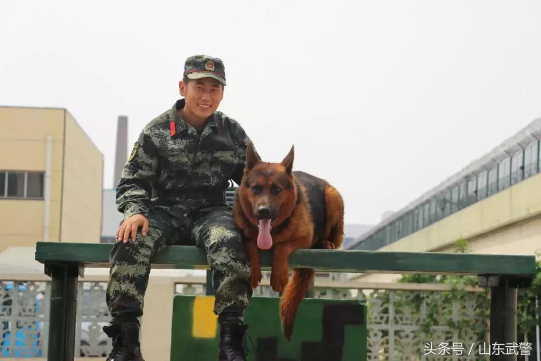 军旅之星,向老兵致敬难忘军旅