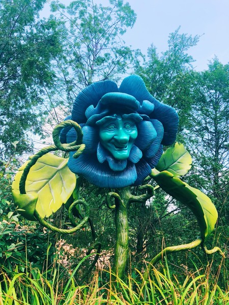 迪士尼旅游全攻略,六月上海迪士尼旅游攻略