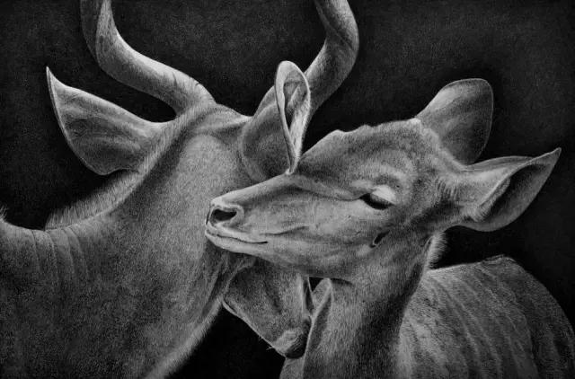 顶级超写实钢笔画,最惊艳的钢笔画大神