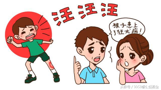 睿趣百科｜如何鉴别被猫狗咬伤后是否患上狂犬病