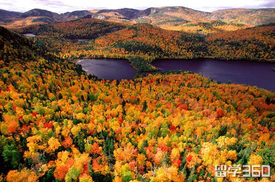 想来加拿大音乐的快看！加大学音乐排名