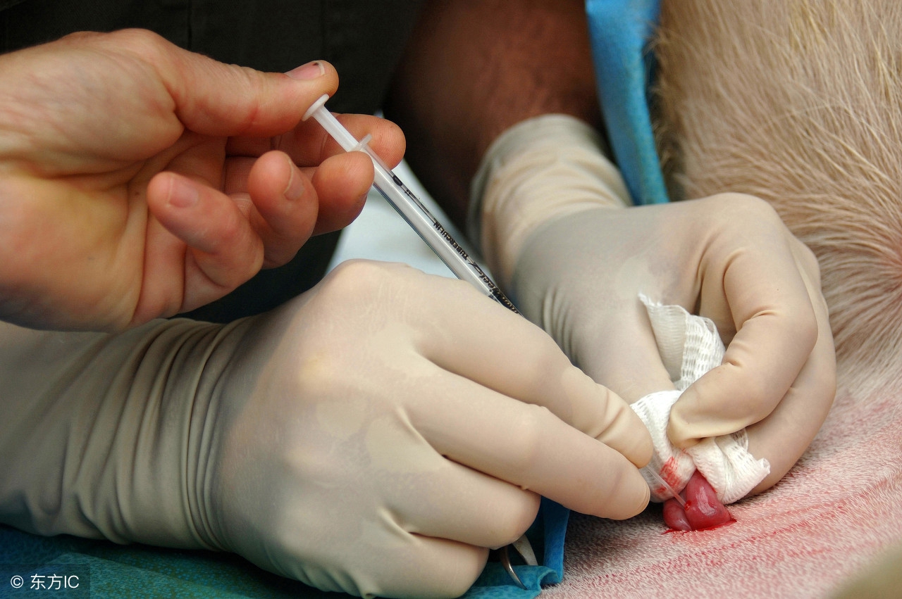 “裸贷，捐卵，*规则潜**”，被黑产盯上的女大学生