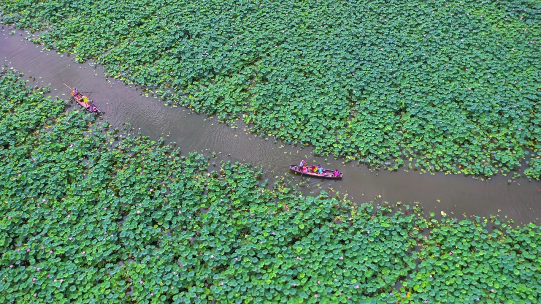 鹤山离广州最近的地方是哪里,鹤山周边游玩的地方推荐