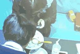 警惕毒品可能伪装成奶茶可乐,警惕伪装成彩虹糖浴盐邮票的毒品