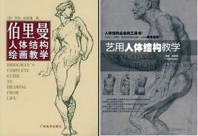 萌新画手接稿平台推荐,绘画萌新要先画什么才好呢