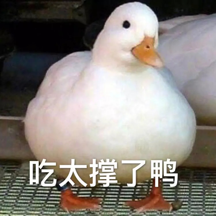 “我太难了！”今天没有一只鸭子能活着走出广西